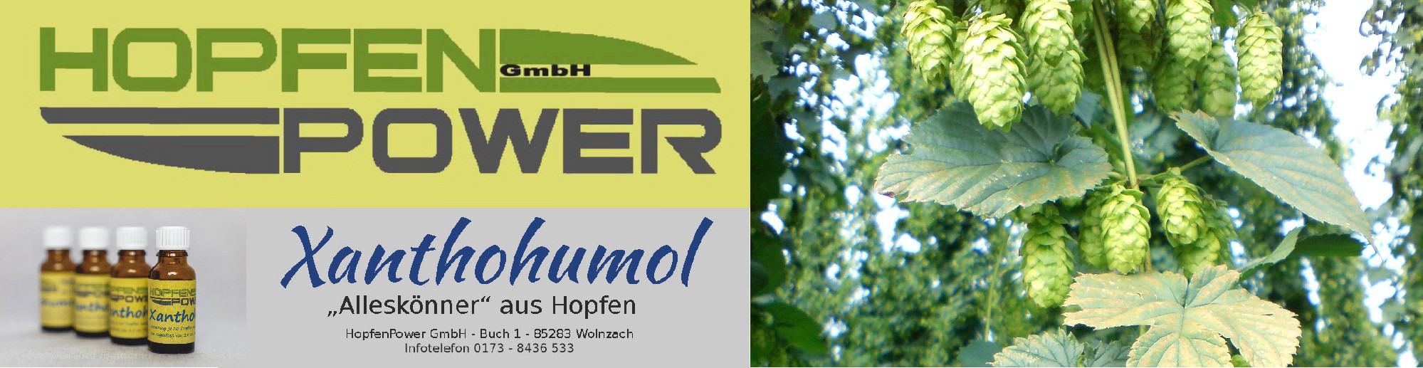 HopfenPower GmbH Horst Korger