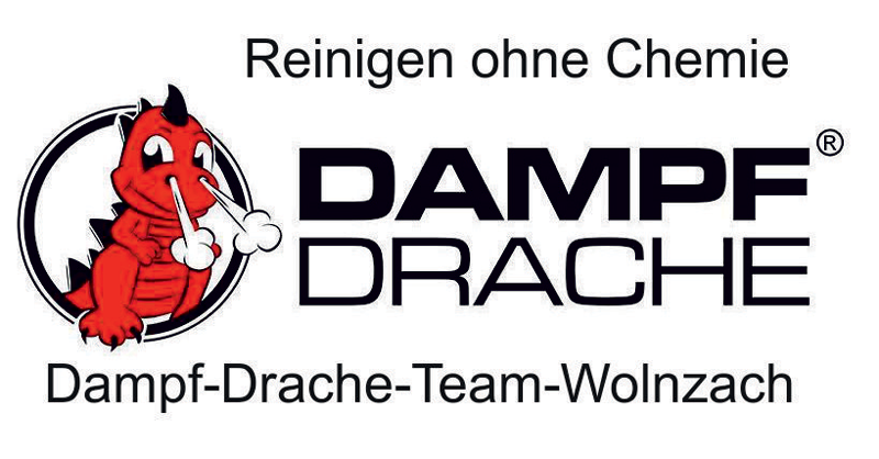 Dampfdrache Logo